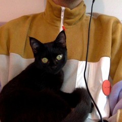 Mix for Hotel Radio Paris