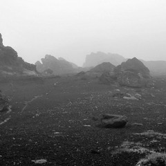 Amygdala - Forgive & Forget (Planar Reshape)