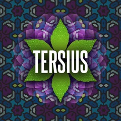 TERSIUS LIVE @ Origin Festival 2019