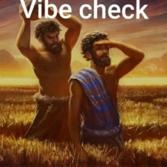 vibe
