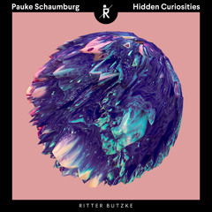 PREMIERE: Pauke Schaumburg - Hidden Curiosities [Ritter Butzke Studio]