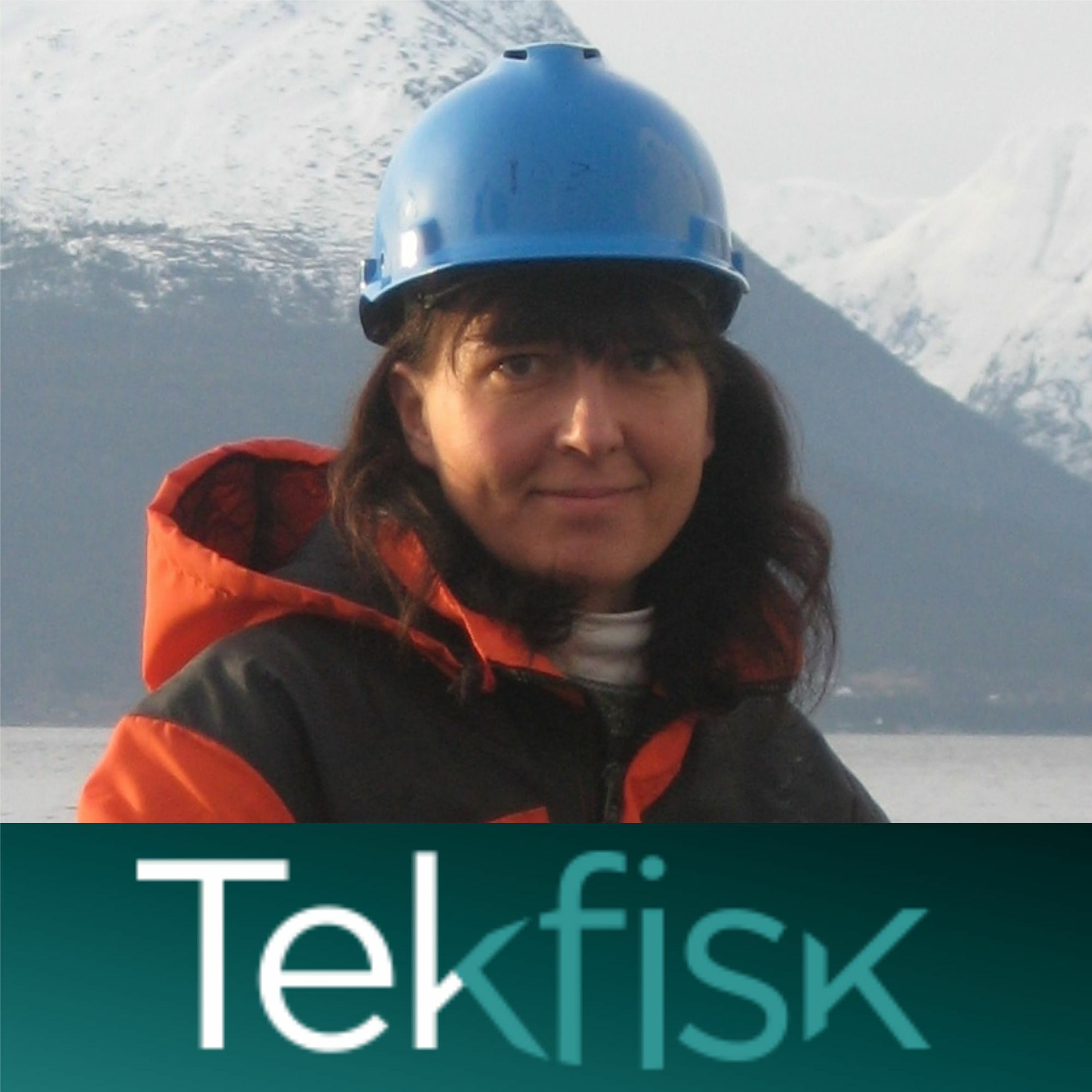 Tekfisk