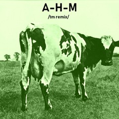 PINK FLOYD Atom Heart Mother (panoramic trance melt remix)