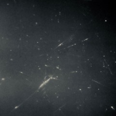 Candidatus Desulforudis Audaxviator