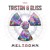 Artwork for Tristan Bliss - Meltdown