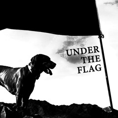 V/A - Under The Flag