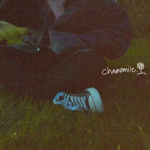 Chamomile (NOW ON SPOTIFY & APPLE MUSIC)