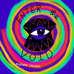 Enter The Void