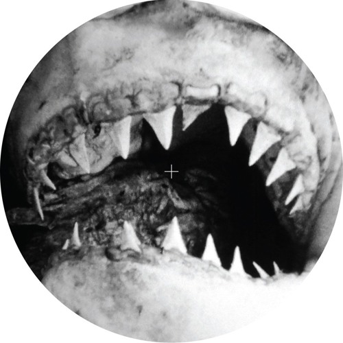 14anger - Mother Of The Null (Original Mix)