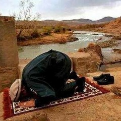 عزيزي المسحول في الواقع(فُكَّك) ! - حمزة أبو زهرة