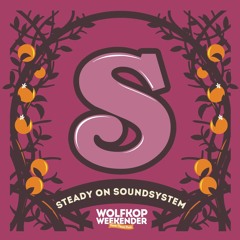 Steady On Sound System - Power Flower Picnic 2019