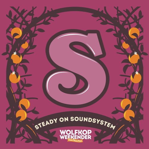 Steady On Sound System - Power Flower Picnic 2019