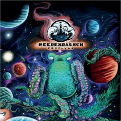 Jay Koersten - Meeresrausch Festival  2019 - Kinkerlitzchen [Sun. 11 p.m.]