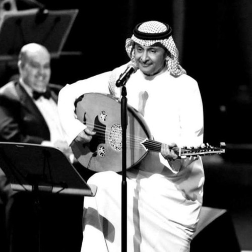 في جمالك من يلوم الشعر لو حس بقصور .. H