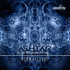 Ashtar Command - Experience