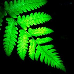 MARTIN JONDO - LITTLE CLOSER (DESKOF REMIX)(128kbps)