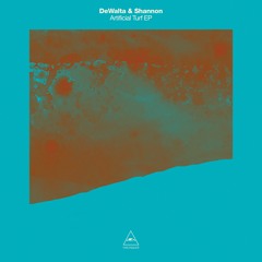 VQ079 DeWalta & Shannon - Artificial Turf EP