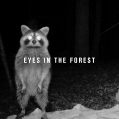 Eyes In The Forest | Skot Coatsworth
