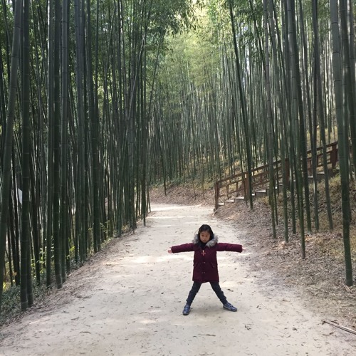 My Feelings By Olivia Chon