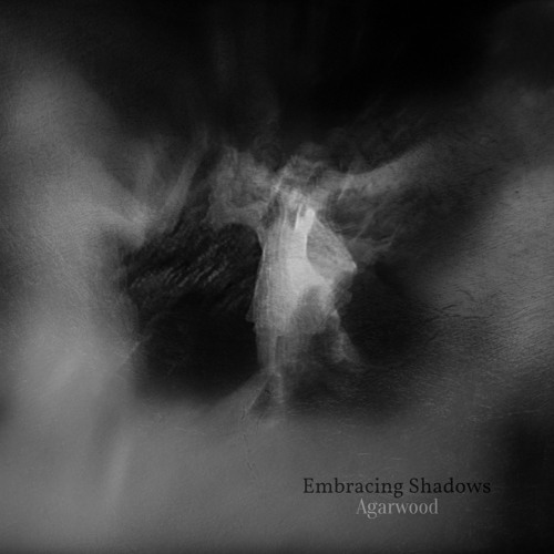 Embracing Shadows (Video Link Below)