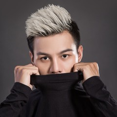 Từng Yêu - Phan Duy Anh