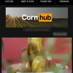 Cornhub Communty Intro  But Poorly Voiced Over