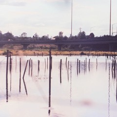 saltflats