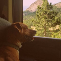 Girl Let Me Love You ·ও