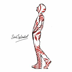 Nova Funk Mix. 2 - SoulSplendid