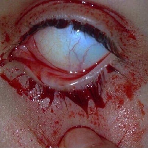 NUT SANDWICH (Prod. XEROGI)
