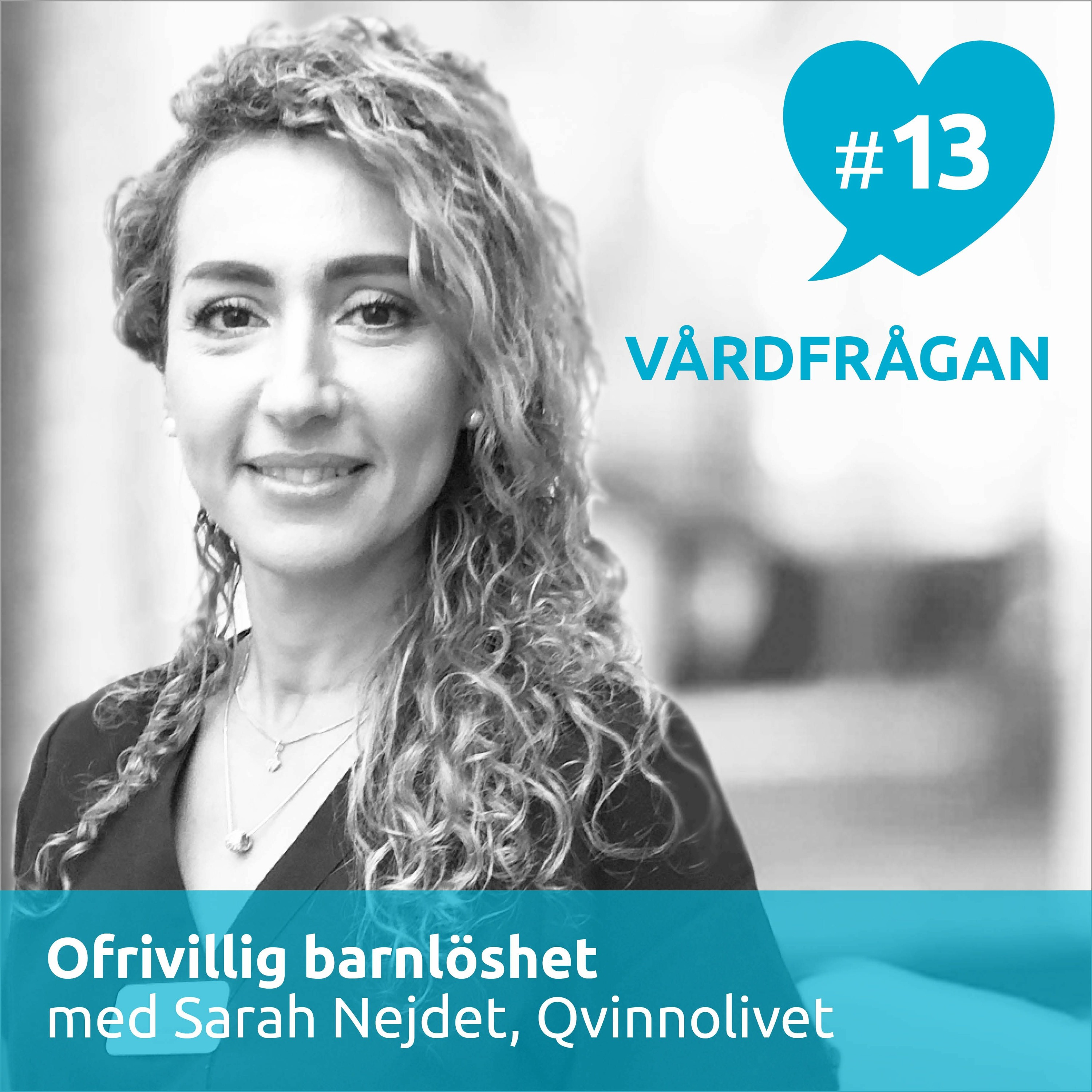 Vårdfrågan