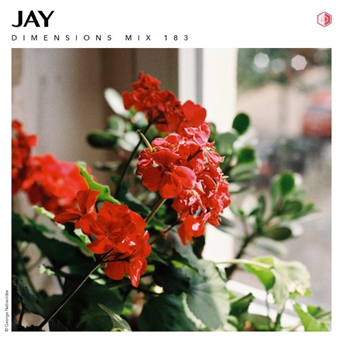 DIM183 - JAY