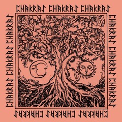 Chakras + guest(maket)