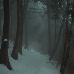 DreamScape Corp. & awnh - Where Am I Going