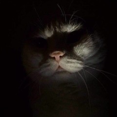 Lang Thang Trên Mái Nhà  // Quàng ft Kym (cover)