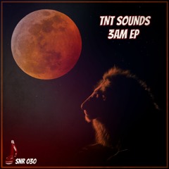 SNR030 - TNT SOUNDS - ALTERED BEAST - Release 25.11.19