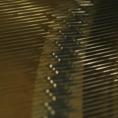 Soundscapes, Radio & Spoken Word