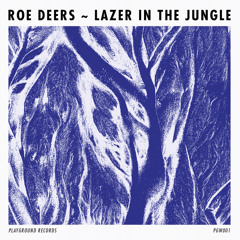 PREMIERE - Roe Deers - Countdown (Playground Records)[Digital Exclusive]