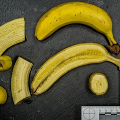 Alles Banane – Ein O-Ton-Essay