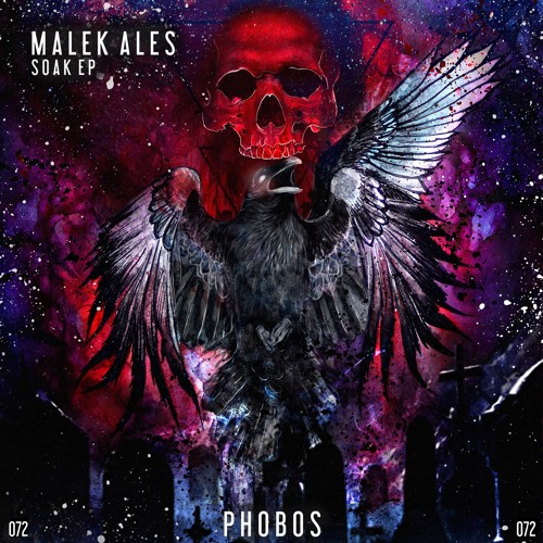 Malek Ales - Soak (Original Mix)