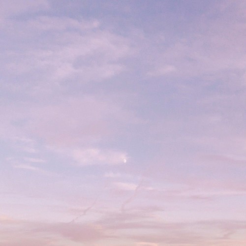 Into The Sky (Feat. Saloon)