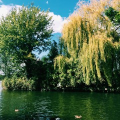 Collection Of Noises Vol. 2