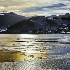 Frozen gold