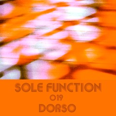 Sole Function 019