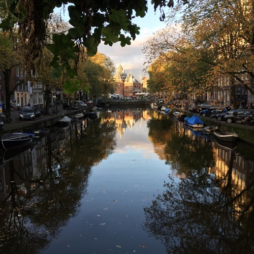 amsterdam simmerdown