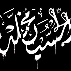 انهض يعباس - علي حمادي و مهدي سهوان - الاربعين 1441 هـ - موكب بن سلوم