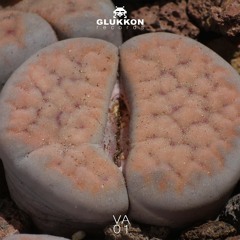 [GLUKKONVA01] Schwantesii - Various Artists
