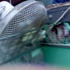 160104 190219 241019 Return of the Delay Lama