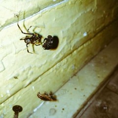 Clutch - Examples (Prod. Indire)