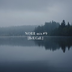 NORR mix #9 [Bell.Gall.]